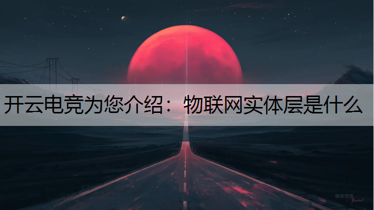 物联网实体层是什么